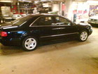 DSC00618l.jpg (15434 bytes)