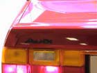 Dsc01573l.jpg (10029 bytes)