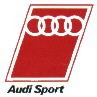 audisport.jpg (4472 bytes)