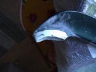 Dsc01097.jpg (10277 bytes)